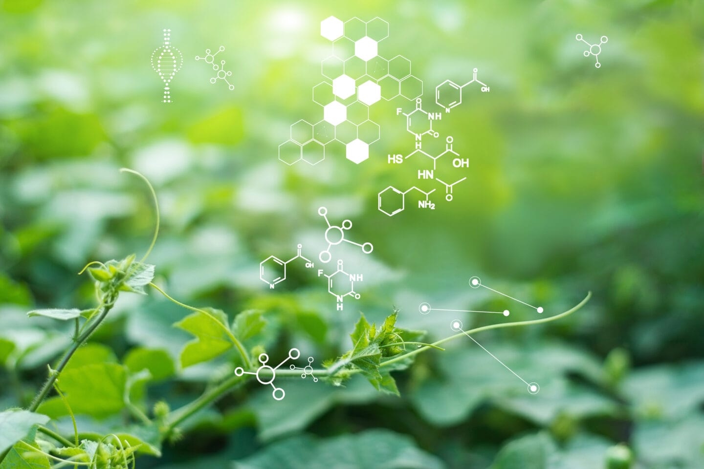 From fossil to future: Exploring opportunities in the bio-based chemicals transition